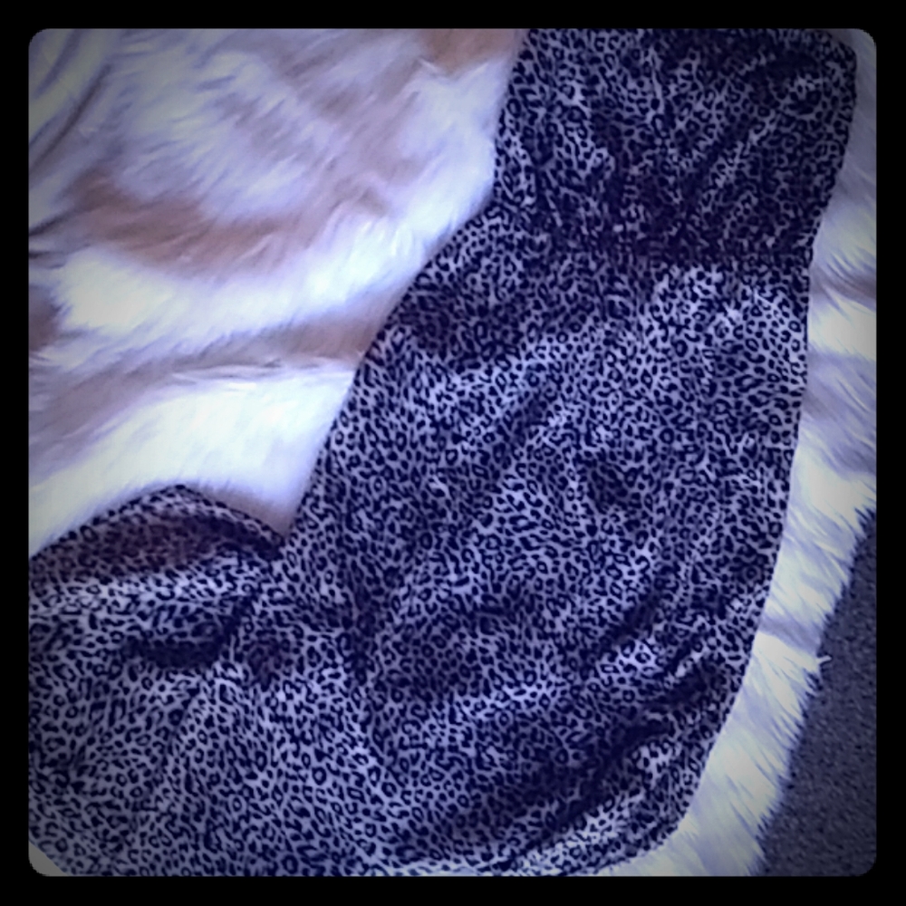 Leopard Print Dress✨